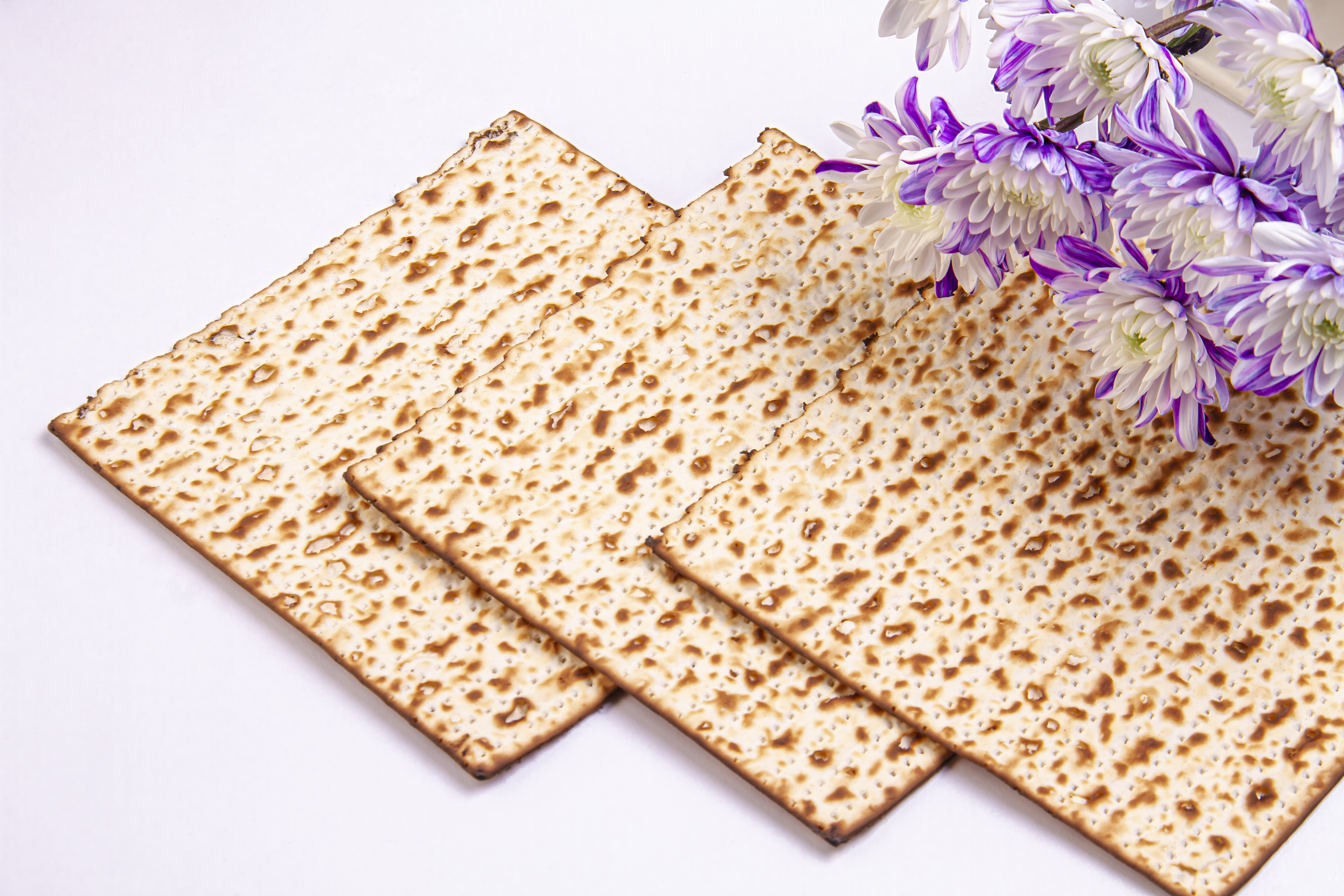 Passover Background With Matzah And White And Purple Chrysanthem